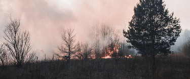 Air purifiers for bushfire smoke