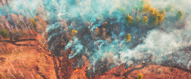 How Flash Droughts and Bushfire Haze Impact Your Indoor Air