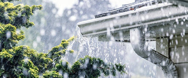 Cyclone Alfred: Preparedness and recovery after the storm