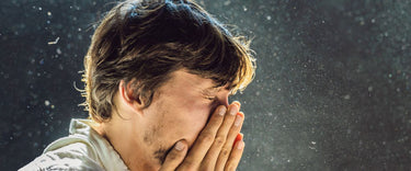 Air purifiers are important for indoor air quality