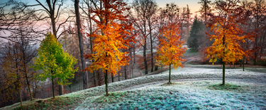 5 Ways the Changing Seasons Impact the Air You Breathe