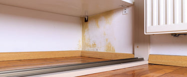 How to stop mould in your wardrobe from ruining your clothes