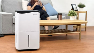What size dehumidifier do I need? A guide for Aussie homes
