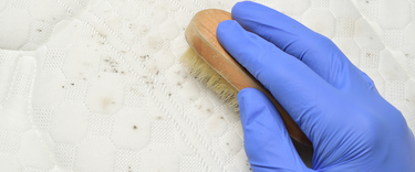 Ionmax dehumidifiers protect your home from the spread of mould, mildew and more