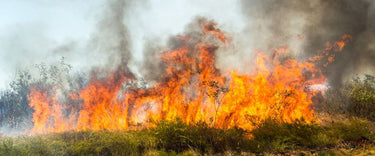 Prepare for bushfire season: Protect your home’s air quality