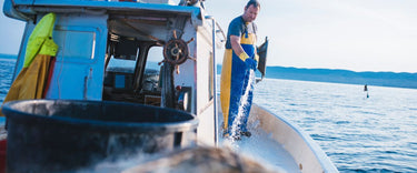 Protect your boat: How humidity wrecks interiors and engines