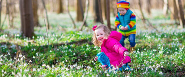 Spring Allergies – Top 5 Spring Survival Tips