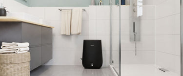 The bathroom mould cycle: Why winter makes it worse