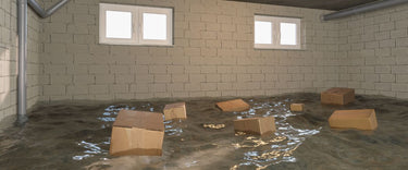 The hidden health risks after flooding: Protecting your home