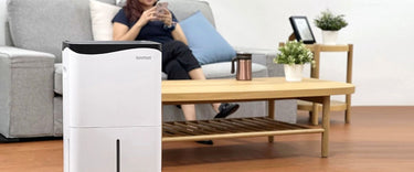 What does a dehumidifier do?