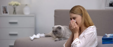 Air purifiers for pet dander