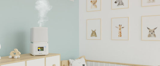 Which is the best humidifier for winter?