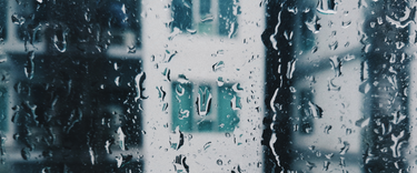 Why a dehumidifier should be on your spring shopping list