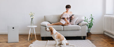 Why indoor air quality matters to your health