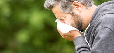 Spring Allergy Survival Guide – How Air Purifiers Help You Breathe Easy