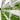 Hydroponics and Grow Room
