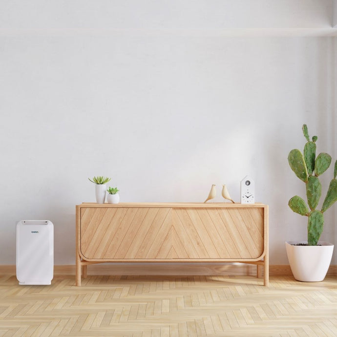 Ionmax dehumidifier lowers humidity in home plants with cactus succulents