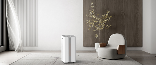 4 things to consider when choosing an air purifier for your home