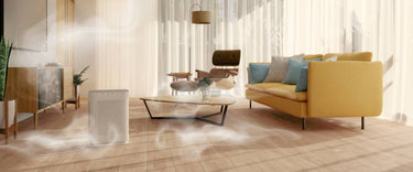 Air purifiers to remove smoke