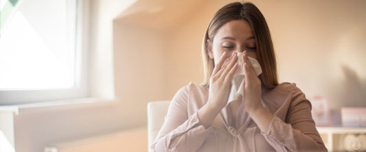 Best air purifiers for hay fever