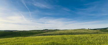 Don't Let Peak Ryegrass Season Ruin Your Spring
