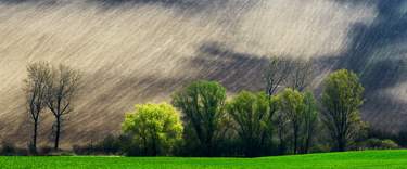 Spring Rain vs. Indoor Dampness: Why Your Home Needs Moisture Control This Spring