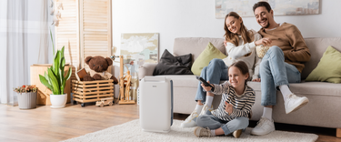 Why the Ionmax ION610 is the Ultimate Compact Dehumidifier
