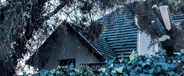 Why Does Your Home Feel Damp Every Winter?