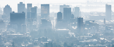Controlled Burnoffs and City Air: How to Protect Your Air