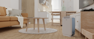 Desiccant or compressor dehumidifier?