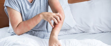Do dehumidifiers get rid of mosquitoes?