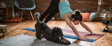 Healthy home habits for a fresh start in the New Year