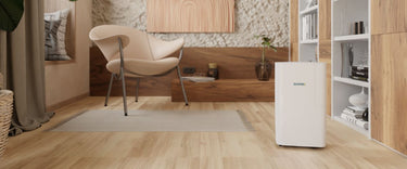 How Ionmax helps reduce mould in a Melbourne home