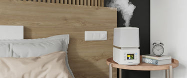 How a humidifier improves health, sleep, and home comfort