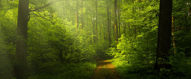 How negative ions contribute to a better indoor air quality