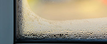 How to reduce humidity at home during winter?
