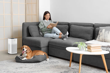 Why an Air Purifier is a Game-Changer for Asthma and Allergy Relief