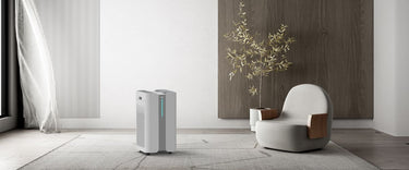 Air Purifier FAQs 