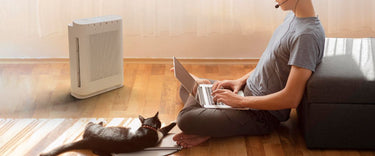 Signs you need an air purifier in your Australian home