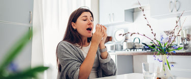 Understanding particulate matter