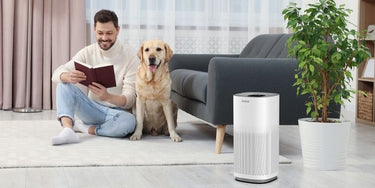 A guide to choosing the perfect Ionmax appliance