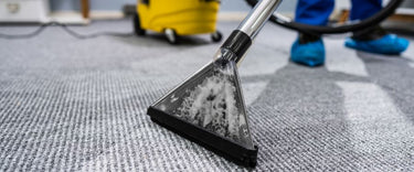 Why dehumidifiers are key to post-cleaning carpet safety