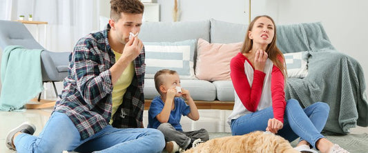 World Allergy Week: Tips to Allergy Proof Your Home
