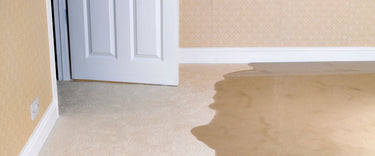 How to dry your wet carpet using a dehumidifier