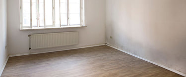 How to get rid of mould