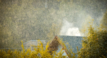 Humidity Control 101: Why Your Home’s "Invisible" Climate Matters