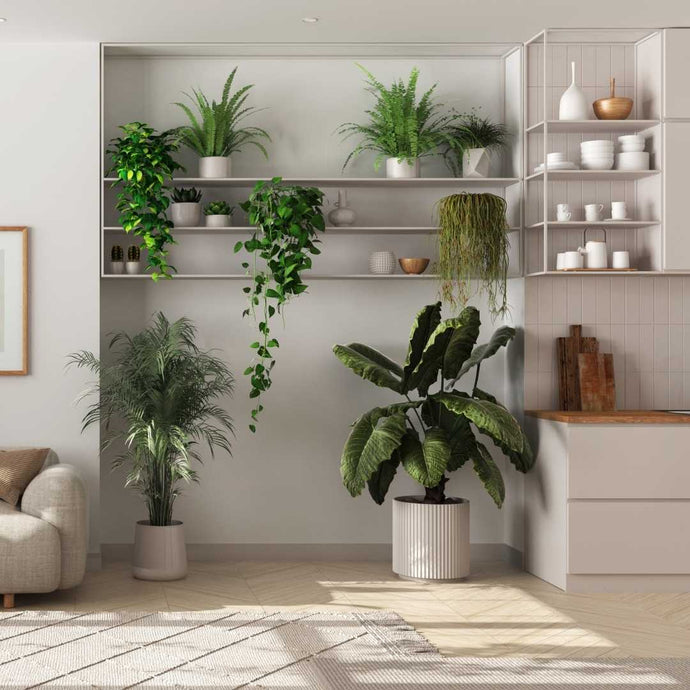 Improve air circulation in dense plant setups