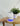 Ionmax Serene ultrasonic aroma diffuser 